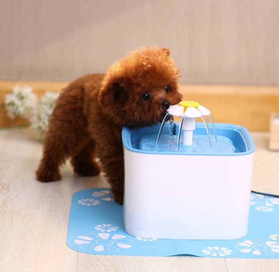 Fuente Automática de Agua para Perros y Gatos – Bebedero Inteligente para Mascotas