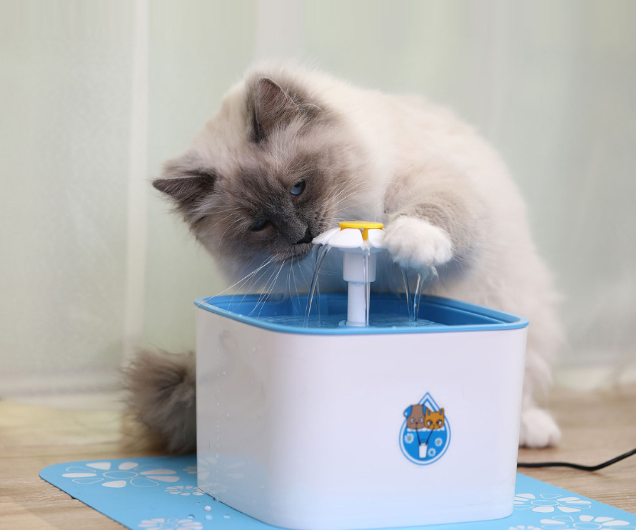 Fuente Automática de Agua para Perros y Gatos – Bebedero Inteligente para Mascotas